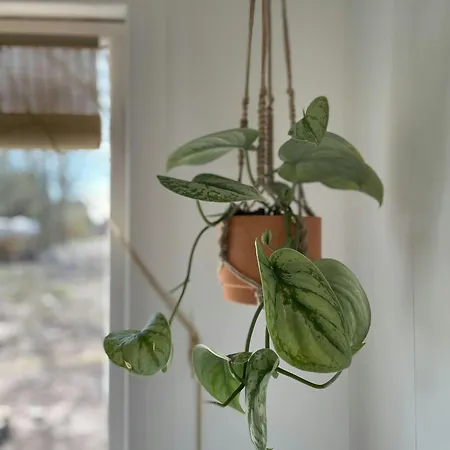 度假居 Uniquely Decorated In Hou