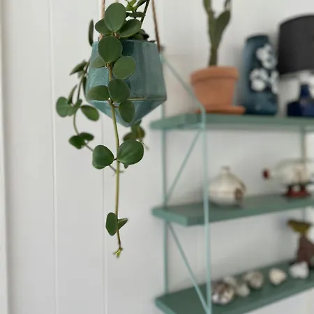 Uniquely Decorated In Hou * Hals