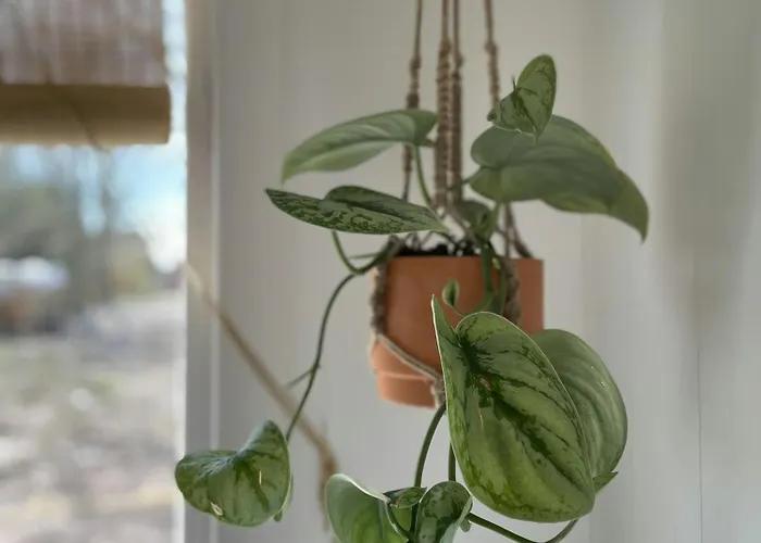 度假居 Uniquely Decorated In Hou