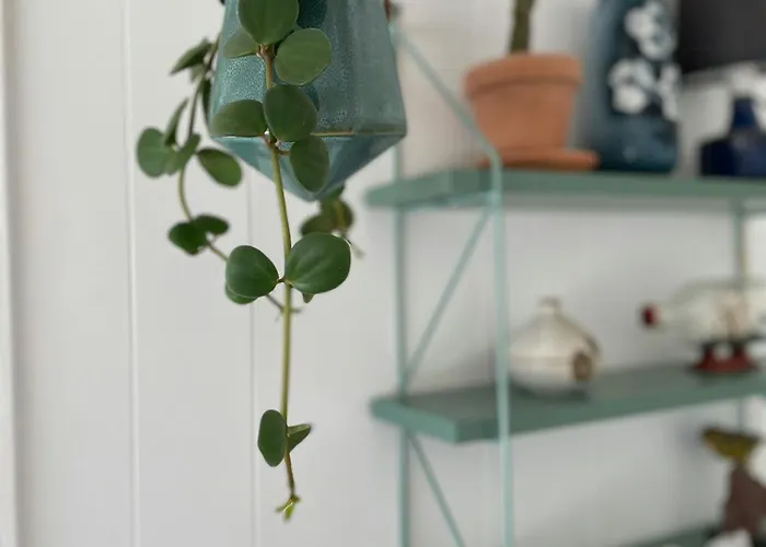 Uniquely Decorated In Hou * Hals