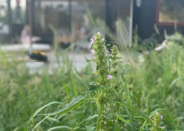 Vakantiehuis Uniquely Decorated In Hou